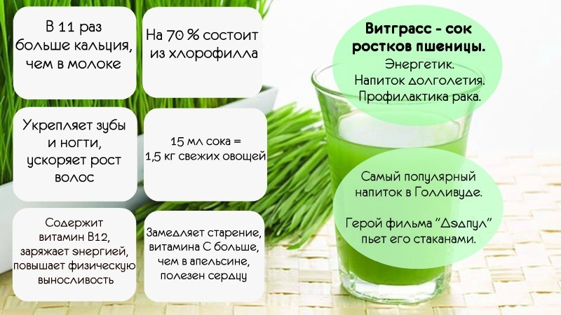 Avantages maximum dans un verre: nous préparons et buvons correctement le jus d'herbe de blé
