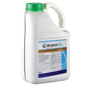 Que faire avec la bactériose des concombres - traitement avec des méthodes efficaces