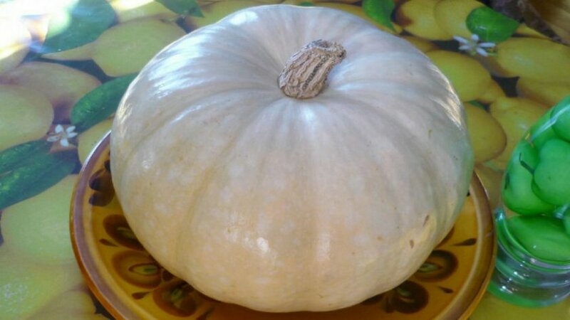 Légume faible en calories, mais en même temps sucré avec un arôme agréable - Citrouille au miel