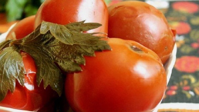 Des recettes étonnantes de tomates au céleri pour l'hiver