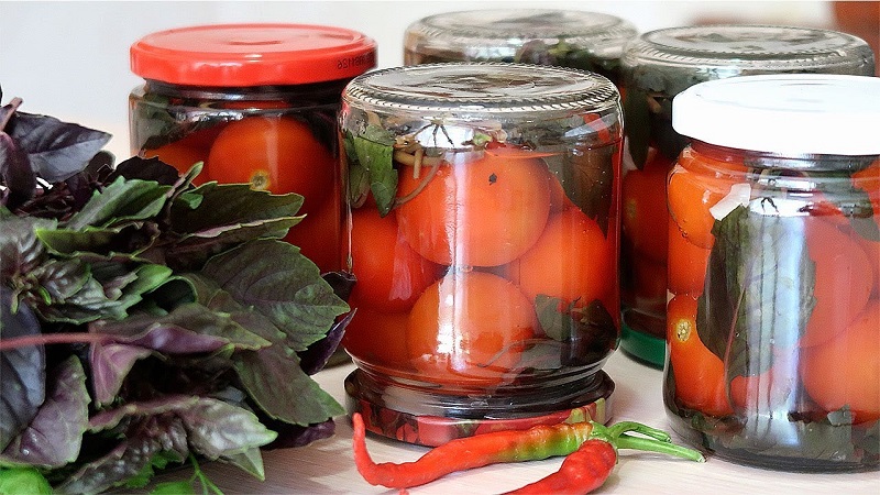 Des recettes étonnantes de tomates au céleri pour l'hiver