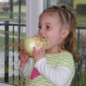 Est-il possible de donner des oignons à un petit enfant et à quel âge