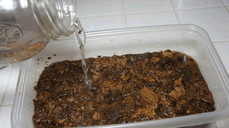 Comment et comment aromatiser correctement le tabac à la maison