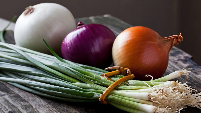 Perte de poids rapide et délicieuse sur soupe à l'oignon