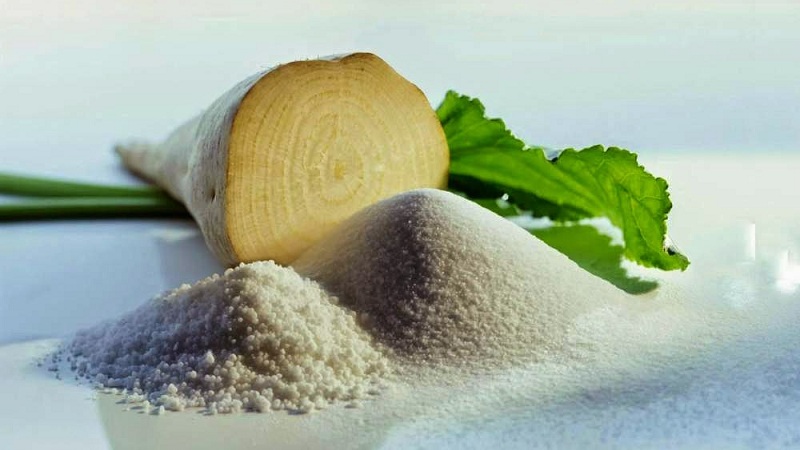 Qu'est-ce que la betterave à sucre: le chemin complet entre le semis d'un légume et le sucre résultant sur notre table