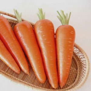 Hybride juteux et sucré de carottes Abaco F1 à haut rendement