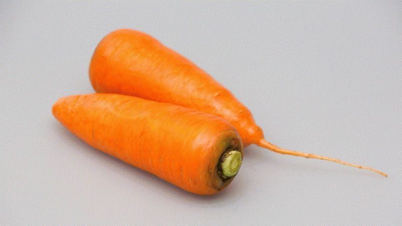 Hybride juteux et sucré de carottes Abaco F1 à haut rendement