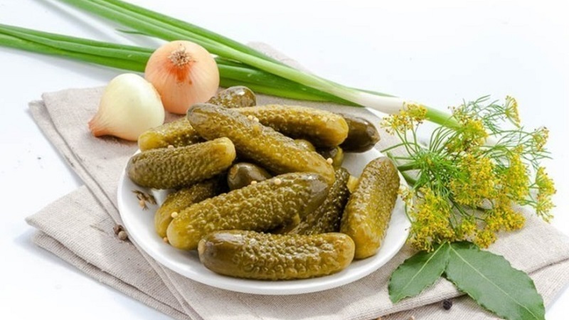 Concombres croustillants pour l'hiver sans stérilisation: méthodes de salage