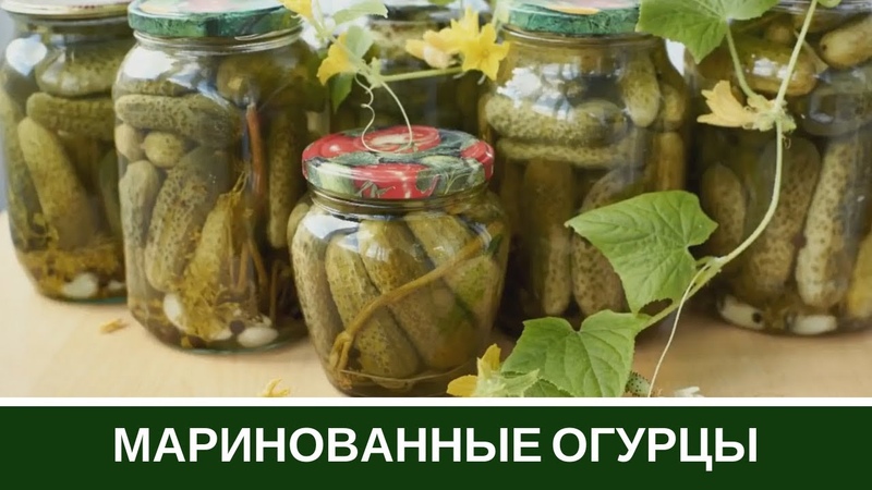 Concombres croustillants en pots pour l'hiver: assaisonner avec du sel chaud