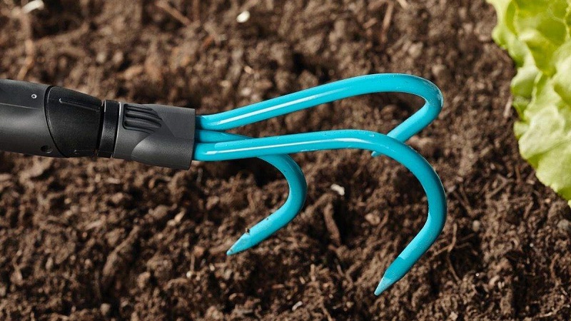 Instructions pour cultiver de délicieux poivrons