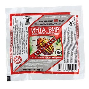 Comment traiter les pucerons sur les concombres: les meilleurs remèdes populaires