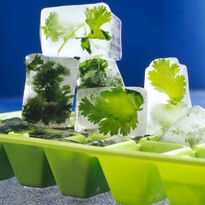 Comment faire de la glace au persil pour le visage: beauté et santé de la peau à partir d'ingrédients simples