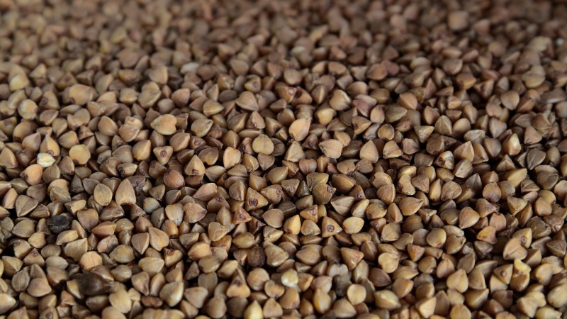 Instructions pour les acheteurs: comment choisir correctement le sarrasin