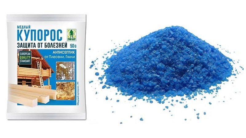 Quelles sont les maladies des oignons et comment y faire face