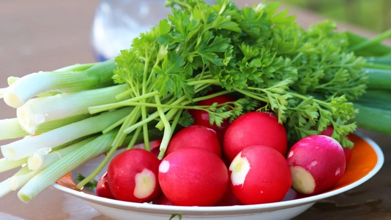 Teneur en calories du radis et propriétés utiles pour le corps humain