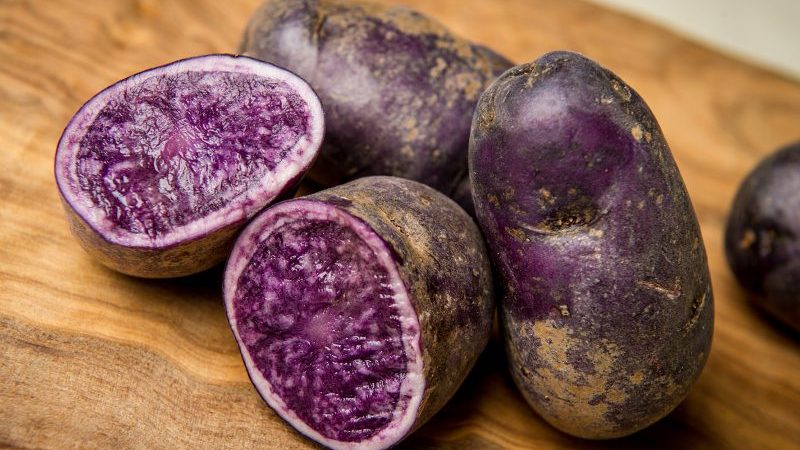 Incroyable pomme de terre Vitalot à la peau et à la pulpe violettes