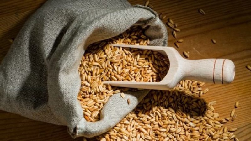 Les meilleures recettes pour nettoyer le foie avec de l'avoine à la maison