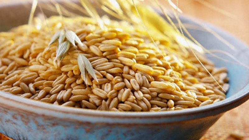 Les meilleures recettes pour nettoyer le foie avec de l'avoine à la maison