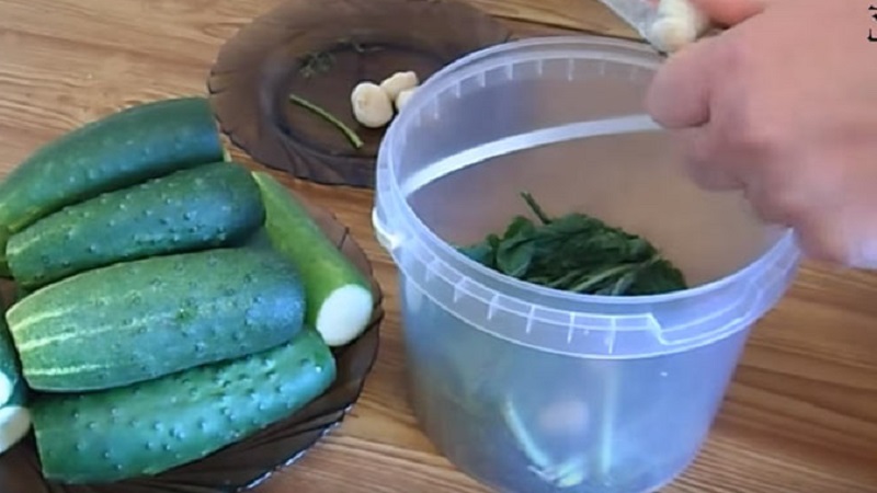 Les meilleures recettes sur la façon de mariner les concombres dans un seau en plastique pour l'hiver et des recommandations pour conserver ces blancs