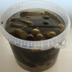 Les meilleures recettes sur la façon de mariner les concombres dans un seau en plastique pour l'hiver et des recommandations pour conserver ces blancs