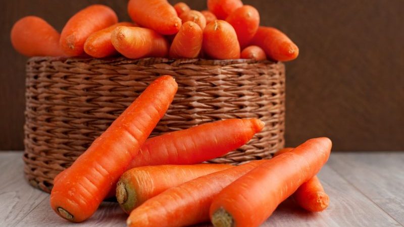 Hybride de carottes de première génération à haut rendement: Baltimore F1