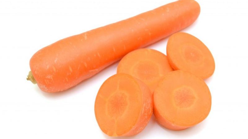 Hybride de carottes de Dordogne à maturation précoce et résistant au froid