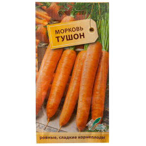 Amsterdam variété de carottes mûres précoces Touchon