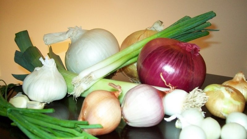 Est-il possible de manger des oignons avec une gastrite avec une acidité élevée ou faible