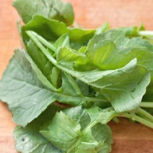 Est-il possible de manger la tige et les feuilles d'un radis