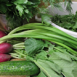 Est-il possible de manger la tige et les feuilles d'un radis