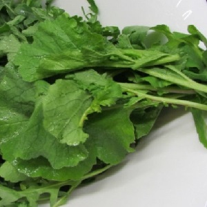 Est-il possible de manger la tige et les feuilles d'un radis