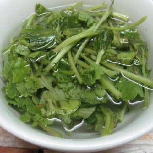 Est-il possible de manger la tige et les feuilles d'un radis