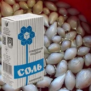 Transformer les oignons avant la plantation avant l'hiver