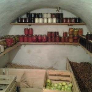 Caractéristiques de la conservation des pommes de terre dans un garage sans cave