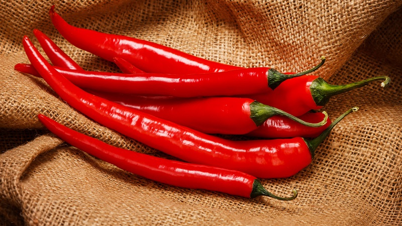 Distinguer les fruits piquants est facile et simple - piment de Cayenne et piment: quelle est la différence et comment ils sont utilisés