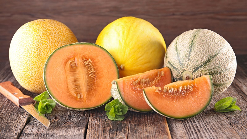 Pourquoi ne pas manger de melon avec du lait et d'autres aliments