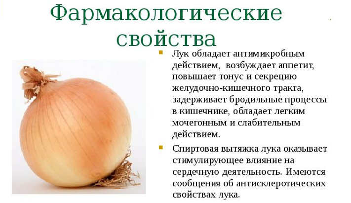 Pourquoi les femmes ont-elles besoin de manger des oignons et en quoi sont-elles utiles?