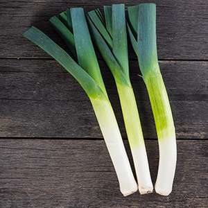 Propriétés utiles des poireaux, méthodes de culture et variétés de variétés