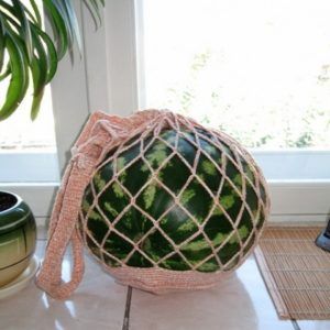 À quelle température et dans quelle quantité la pastèque est-elle conservée