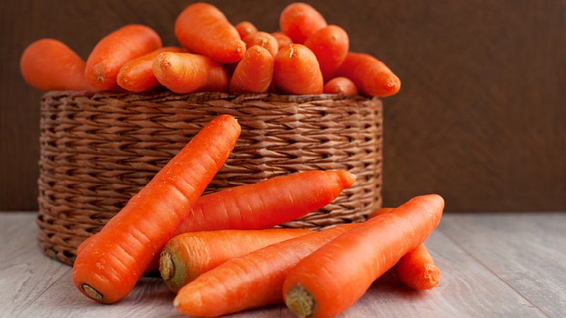 Un hybride précoce de carottes au goût sucré Nandrin f1