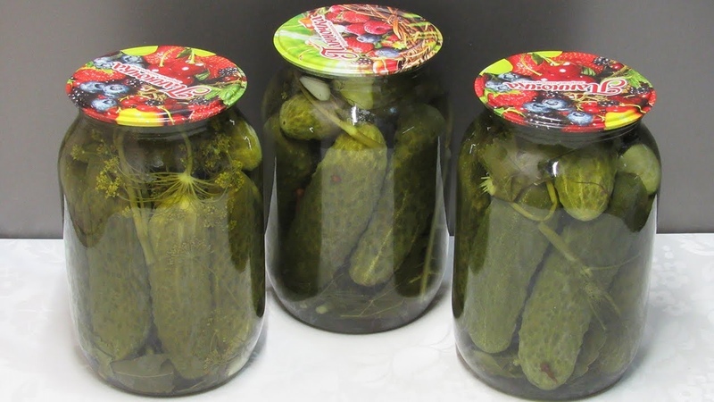 Une sélection des meilleures recettes de concombres marinés pour l'hiver à la maison