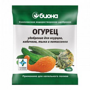 Les recettes les plus efficaces pour nourrir les concombres pendant la fructification