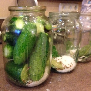 Les recettes les plus délicieuses pour conserver les concombres pour l'hiver