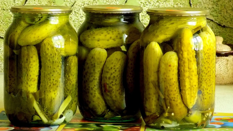 Les recettes les plus délicieuses pour conserver les concombres pour l'hiver