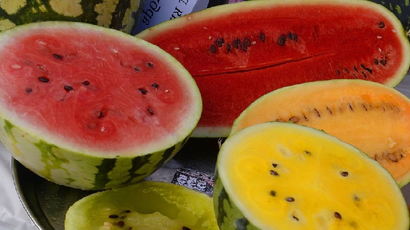 Les variétés les plus délicieuses de pastèques: description et caractéristiques