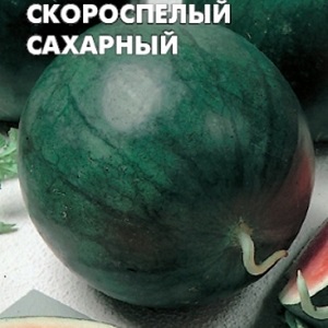 Les variétés les plus délicieuses de pastèques: description et caractéristiques