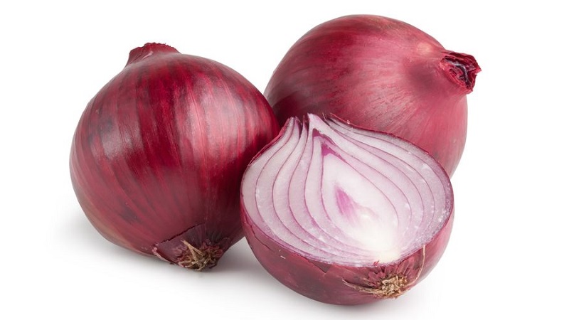 Une variété d'oignons rouges à maturation précoce - Red Baron