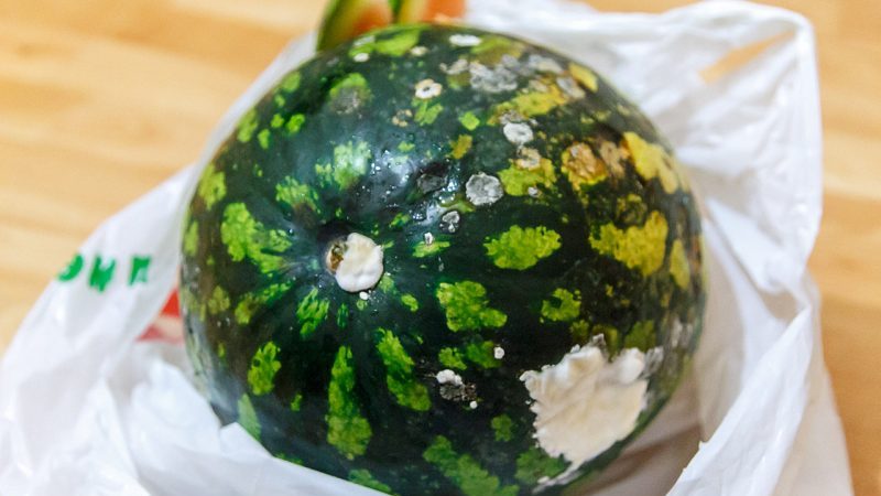 On garde la pastèque jusqu'au nouvel an à la maison