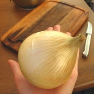 Une grande variété d'oignon de mi-saison Globo: critiques des résidents d'été et caractéristiques de la technologie agricole