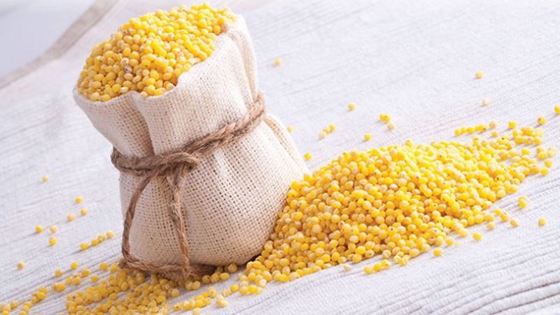 La composition et les propriétés utiles du millet (millet)